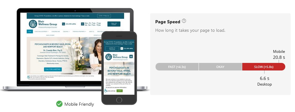 Page Speed Insights SEO Report - MVee Media - SEO Consultants